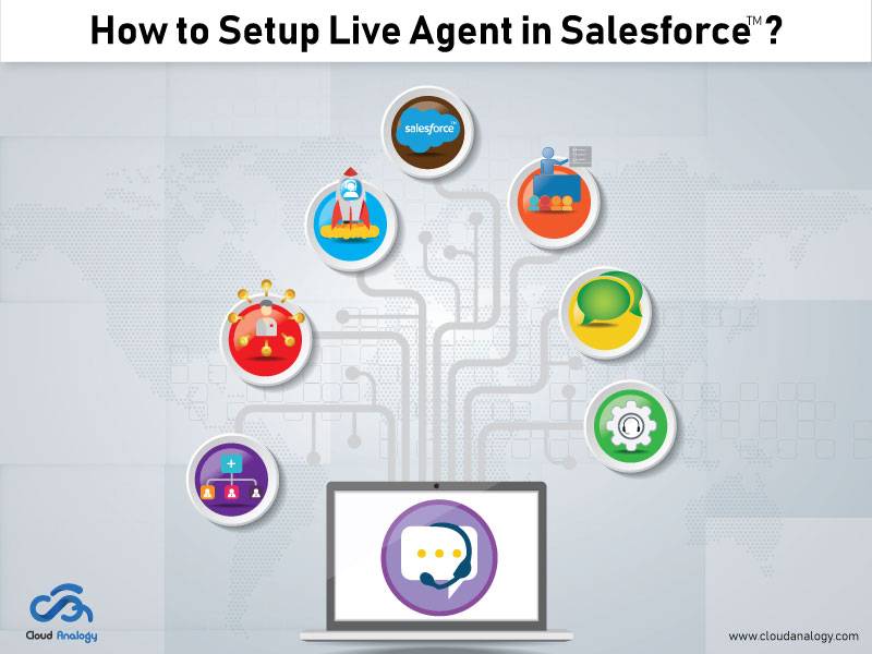 How to Setup Live Agent in Salesforce?