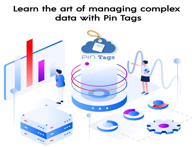 Learn the art of managing complex data with Pin Tags