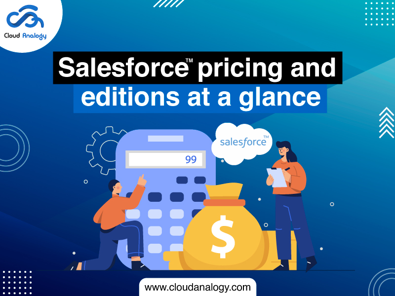 salesforce pricing strategy