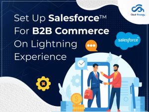 How To Set Up Salesforce For B2B Commerce On Lightning Experience