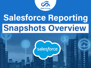 Salesforce Reporting Snapshots Overview