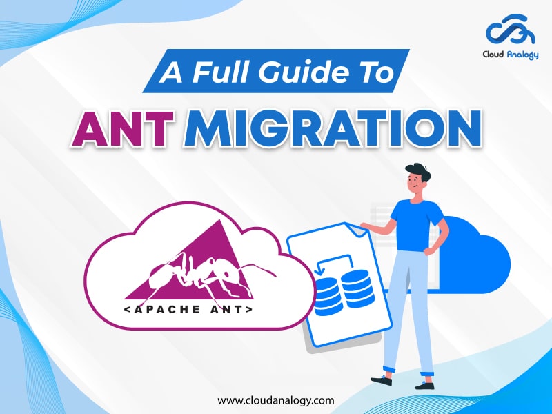 A Full Guide To ANT Migration