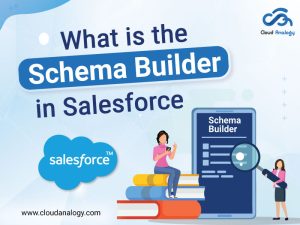 What is the Schema Builder in Salesforce?