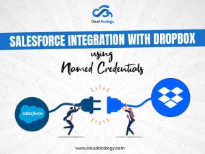Salesforce Integration To Dropbox Using Named Credentials