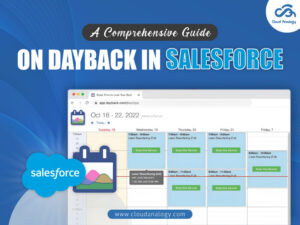 Read more about the article A Comprehensive Guide On Dayback In Salesforce