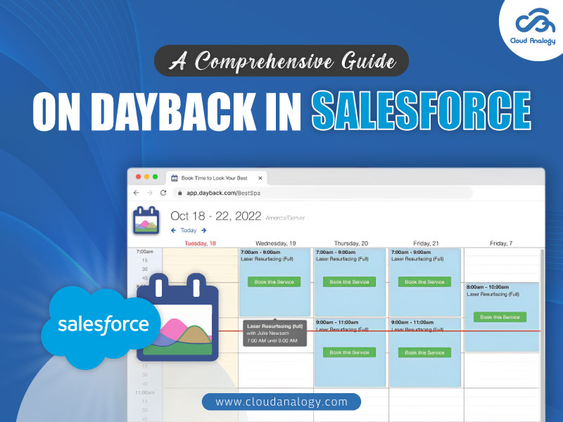 You are currently viewing A Comprehensive Guide On Dayback In Salesforce