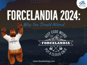 Read more about the article Forcelandia 2024: Why You Should Attend