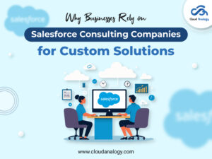 Read more about the article Why Businesses Rely on Salesforce Consulting Companies for Custom Solutions