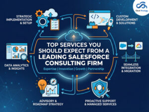 Read more about the article Top Services You Should Expect from a Leading Salesforce Consulting Firm