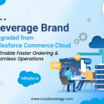 How Cloud Analogy Leads the Way in Salesforce B2B Commerce Transformation