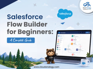 Read more about the article Salesforce Flow Builder for Beginners