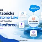 What Databricks CustomerLake Means If You Run Salesforce