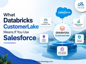 Read more about the article What Databricks CustomerLake Means If You Run Salesforce